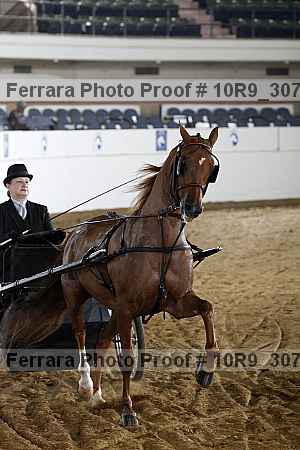 Proof 10r9_3079