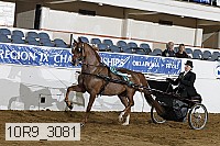 10r9_3081 proof