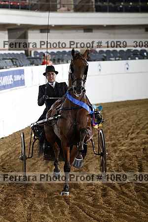Proof 10r9_3084