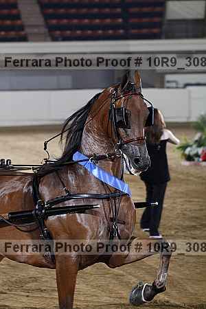 Proof 10r9_3085