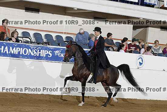 Proof 10r9_3088