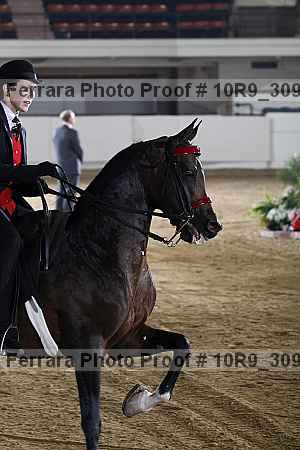 Proof 10r9_3090