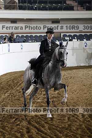 Proof 10r9_3091