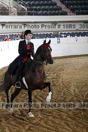 Proof 10r9_3094