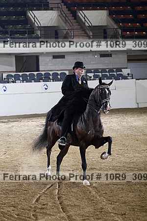 Proof 10r9_3096