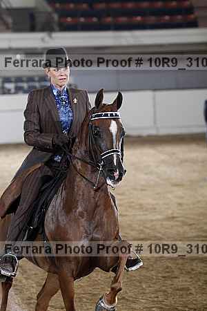 Proof 10r9_3101