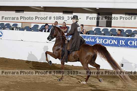 Proof 10r9_3103