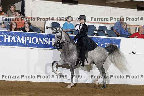 Proof 10r9_3109