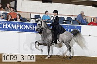 10r9_3109 proof