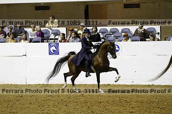 Proof 10r9_3111