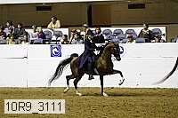 10r9_3111 proof