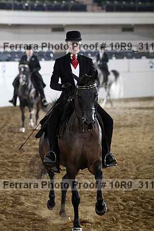 Proof 10r9_3117