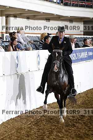 Proof 10r9_3118