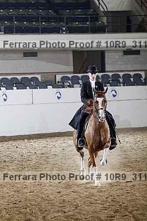 Proof 10r9_3119