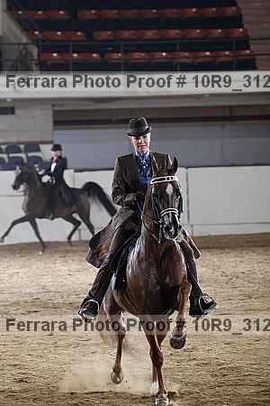 Proof 10r9_3120