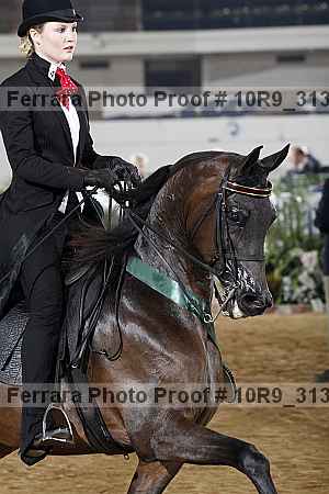 Proof 10r9_3130