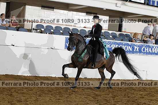 Proof 10r9_3133