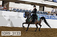 10r9_3133 proof