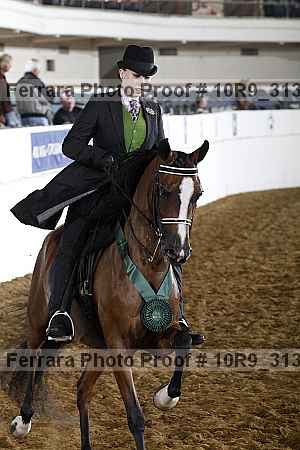 Proof 10r9_3134