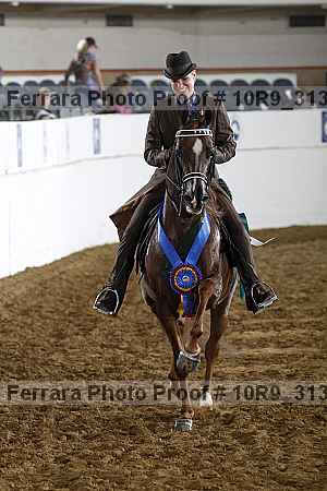 Proof 10r9_3138