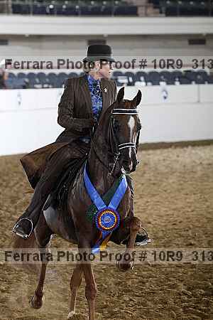 Proof 10r9_3139