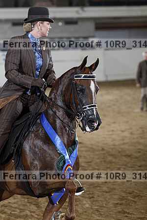 Proof 10r9_3140