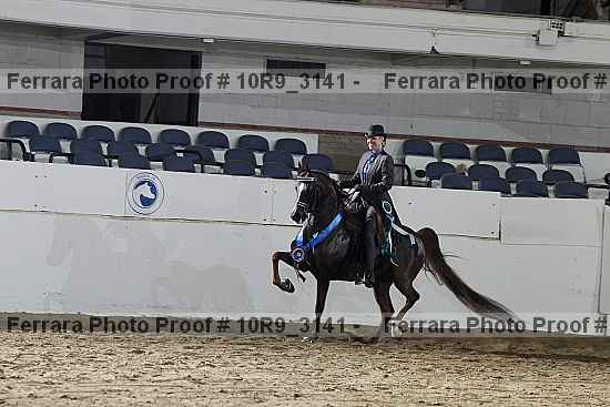 Proof 10r9_3141