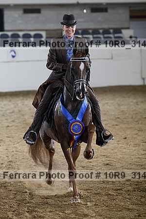 Proof 10r9_3145