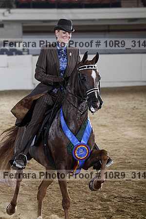 Proof 10r9_3146