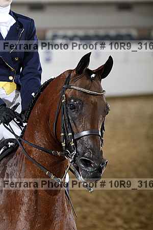Proof 10r9_3161
