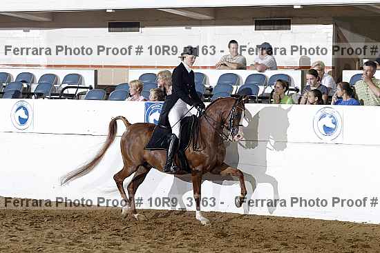 Proof 10r9_3163