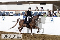 10r9_3163 proof