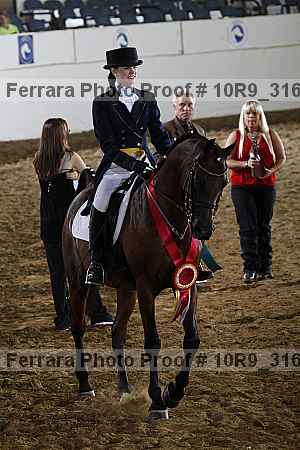 Proof 10r9_3166