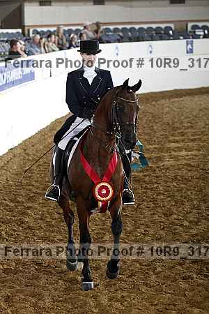Proof 10r9_3176
