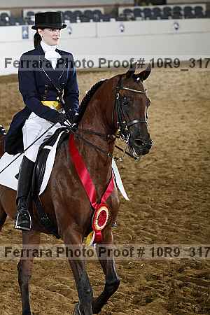 Proof 10r9_3177