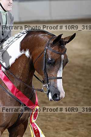 Proof 10r9_3195