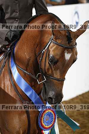 Proof 10r9_3198