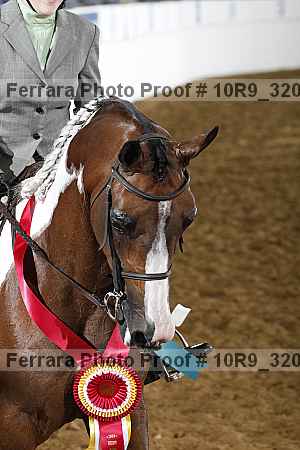 Proof 10r9_3204