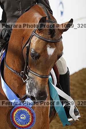 Proof 10r9_3207