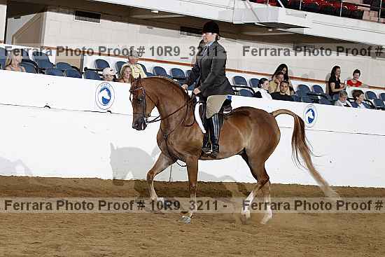 Proof 10r9_3211
