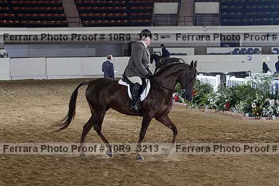 Proof 10r9_3213