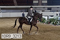 10r9_3213 proof