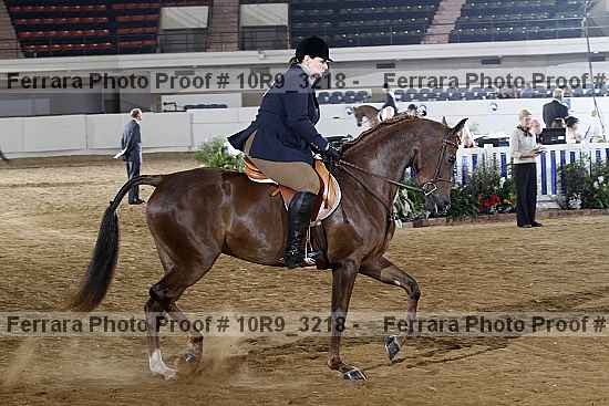 Proof 10r9_3218
