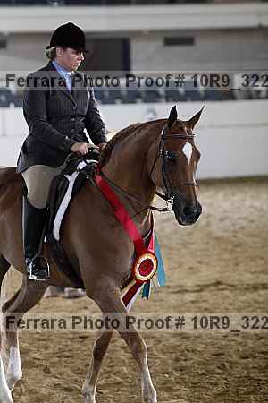 Proof 10r9_3228