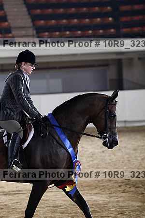Proof 10r9_3231