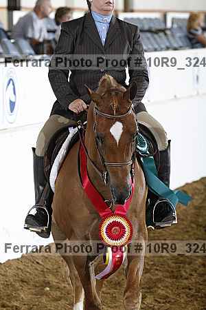 Proof 10r9_3244