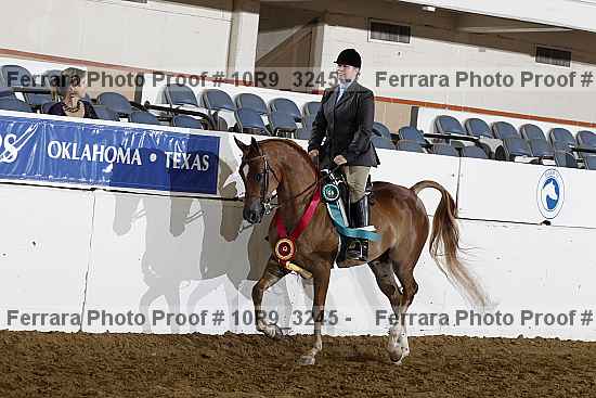 Proof 10r9_3245