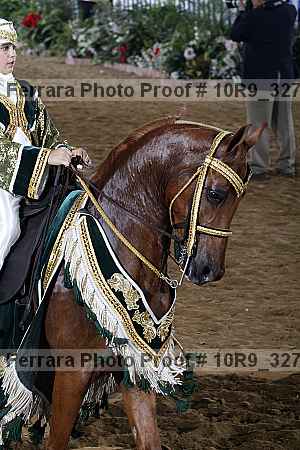 Proof 10r9_3279