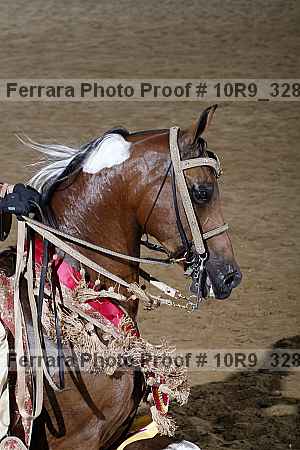 Proof 10r9_3282