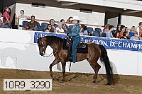 10r9_3290 proof